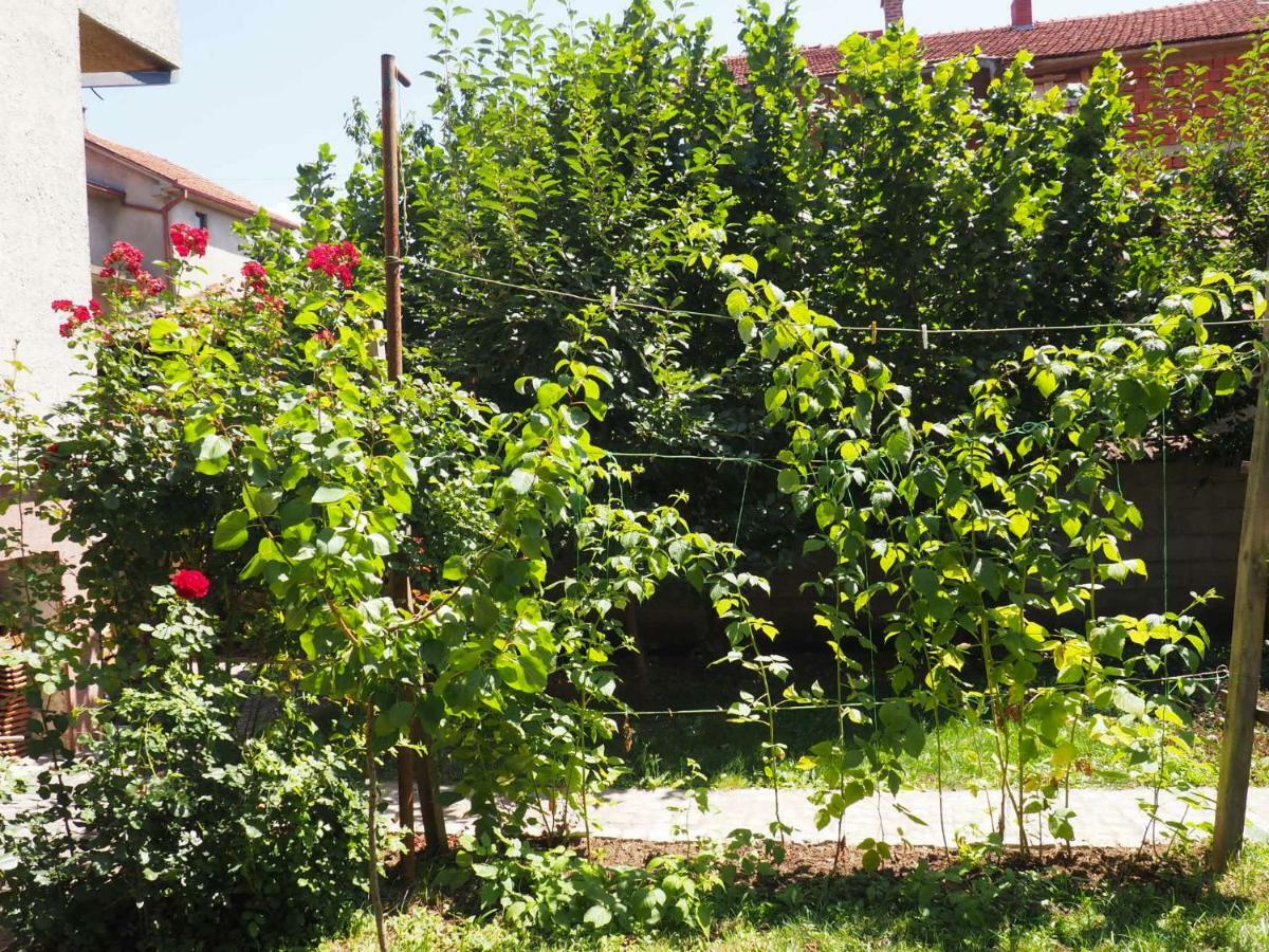 Guest House Stefanovic Vranje Exterior foto